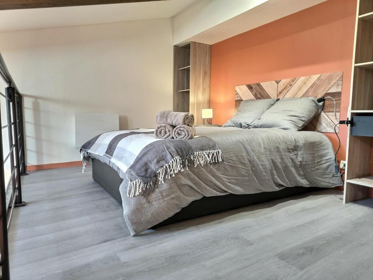 Le Coquelicot - Hyper-Centre - Wifi - Calme Apartment Albi Bagian luar foto